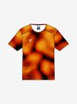 COSMIC 001